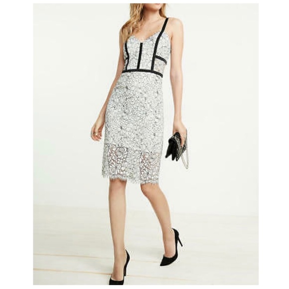 Express Dresses & Skirts - Express piped lace sheath dress